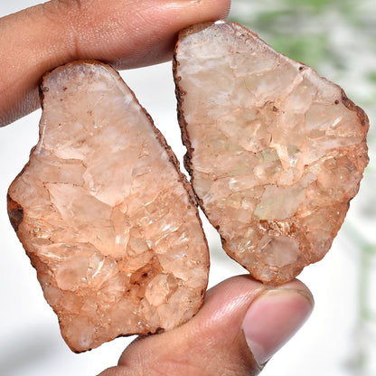 Brown Solar Quartz Earrings Pair – Fancy Window Druzy Slices for Jewelry Making