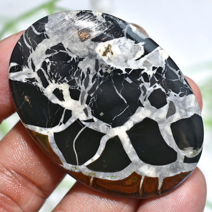 Big Size Natural Septarian Nodule - Wholesale Designer Septarian Gemstone