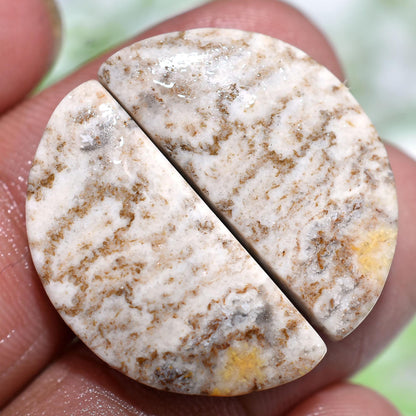 100% Natural Fossil Coral Gemstone Pair, Matching Jewelry Cabochons