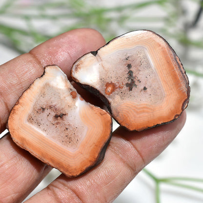 Beautiful Window Druzy Gemstone Pair – Matched Geode Agate Stalactite Slices for Earrings