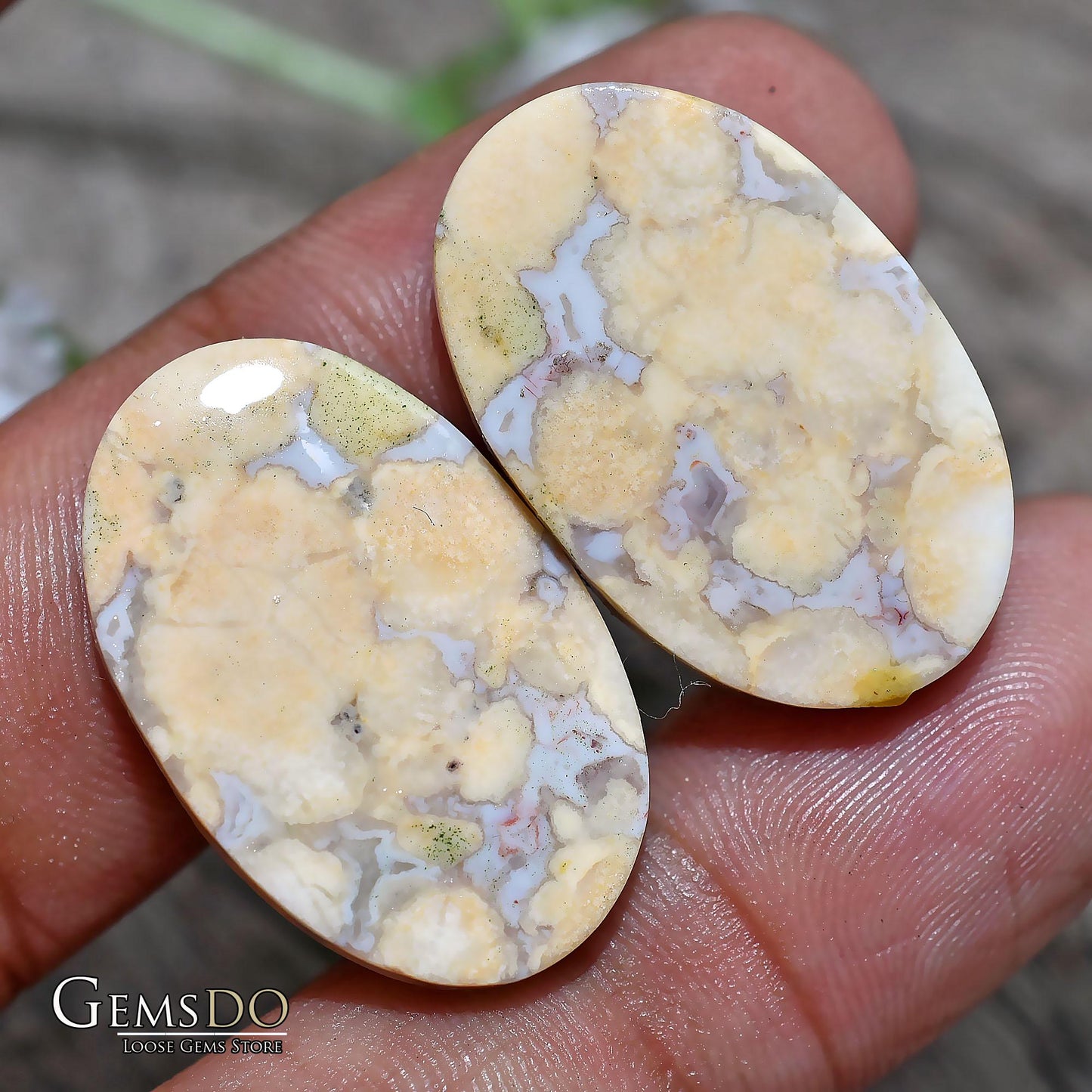 Designer Cobra Jasper Pairs - Oval Shape Matched Pair for Earrings