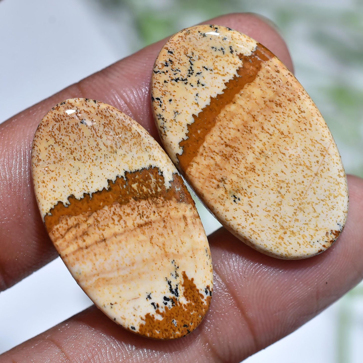 Amazing Brown Picture Jasper Loose Stone Pair - Hand Polished Jasper for Jewelry & Earring Making