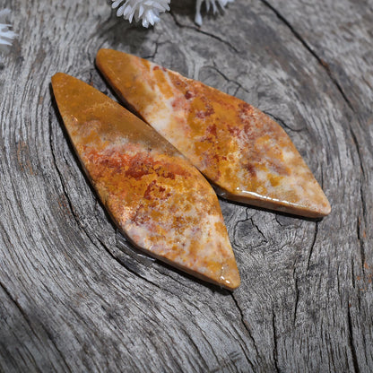 Beautiful Fossil Coral Matching Pair Cabochon - Fancy Indonesian Coral for Jewelry Making