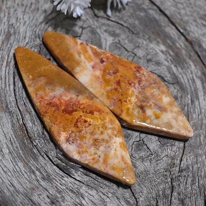 Beautiful Fossil Coral Matching Pair Cabochon - Fancy Indonesian Coral for Jewelry Making