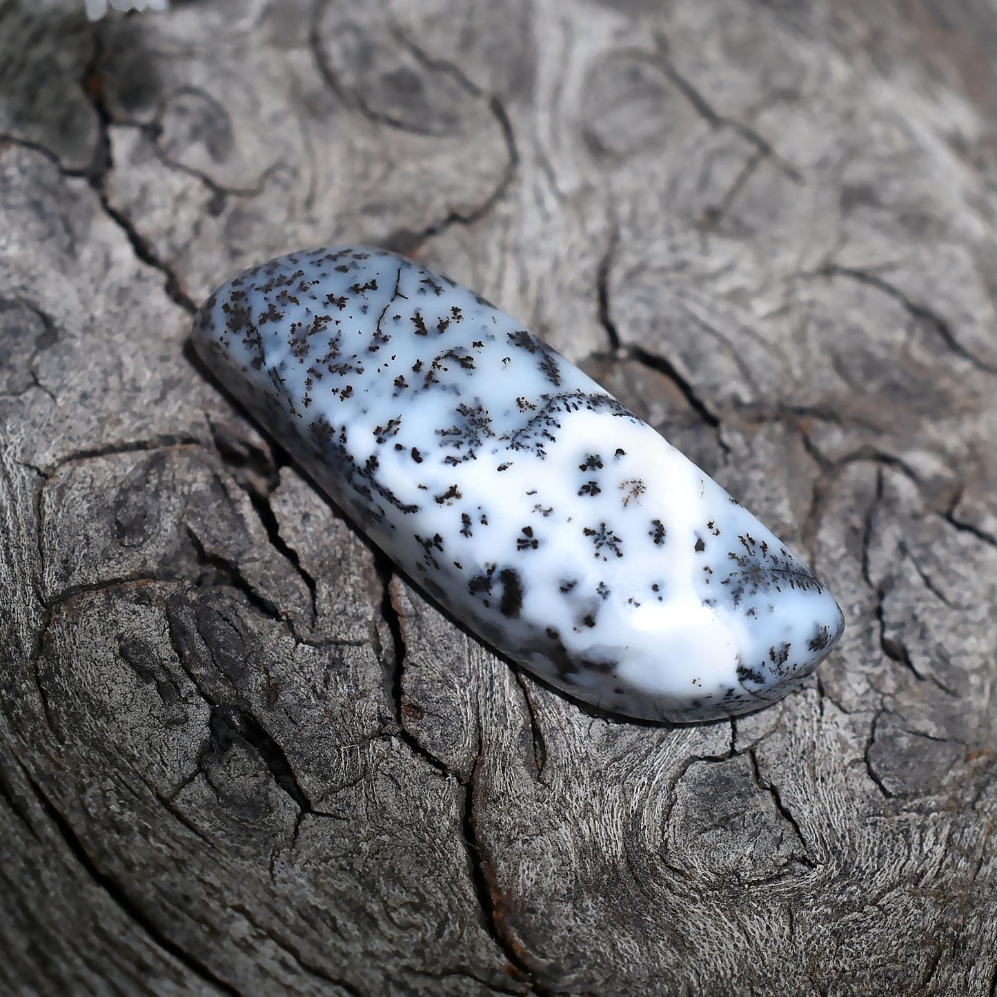 Grey White Loose Cabochon Flatback Gemstone - Fancy Shaped Dendrite Opal