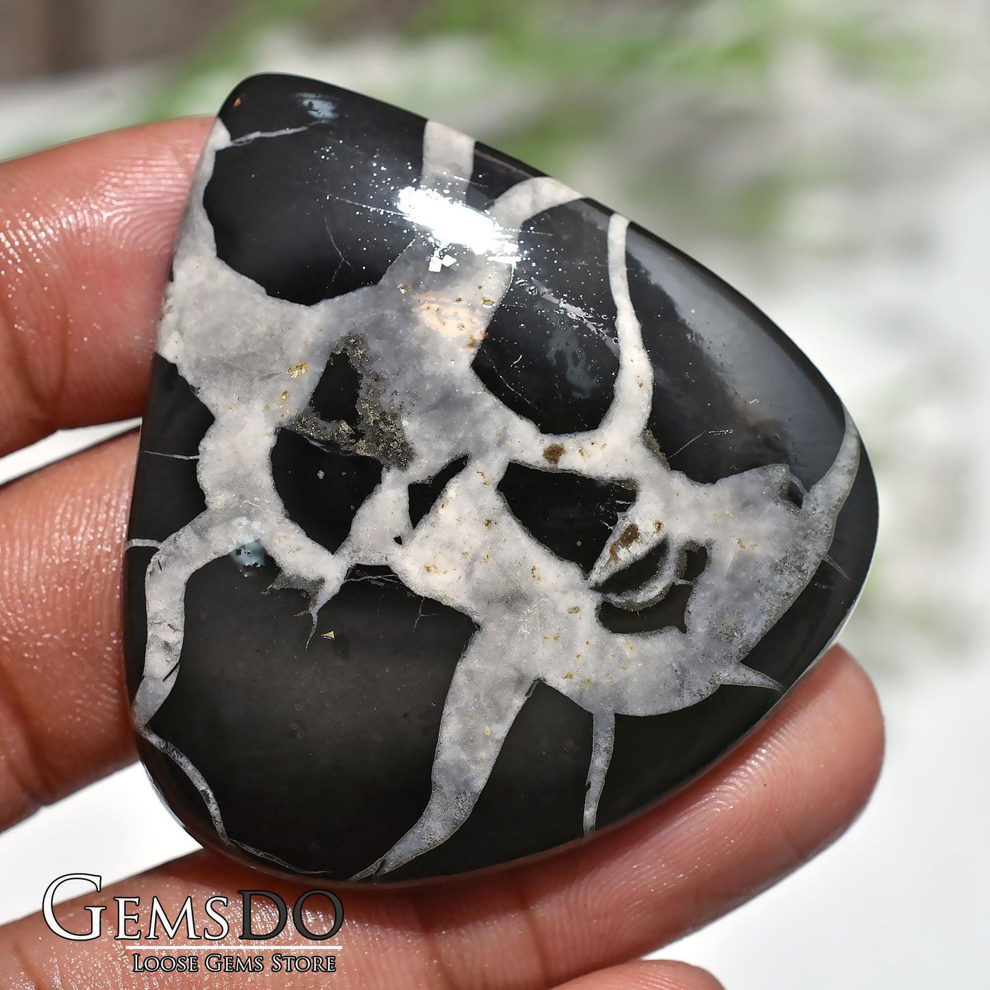 Natural Black Fossil Septarian Nodule - Designer Dragon Stone for Jewelry