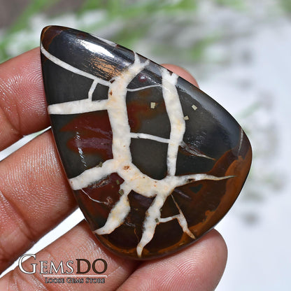 Natural Black Fossil Septarian Nodule - Designer Dragon Stone for Jewelry