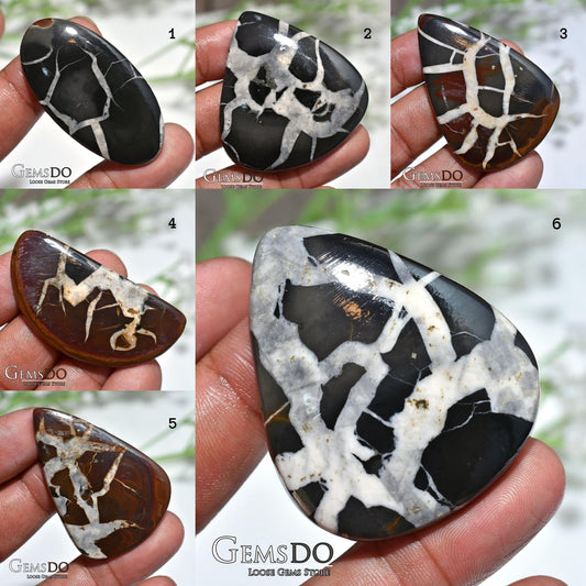 Natural Black Fossil Septarian Nodule - Designer Dragon Stone for Jewelry