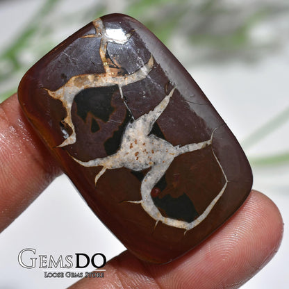 Natural Brown Septarian Nodule - Smooth Dragon Stone for Pendants & Jewelry