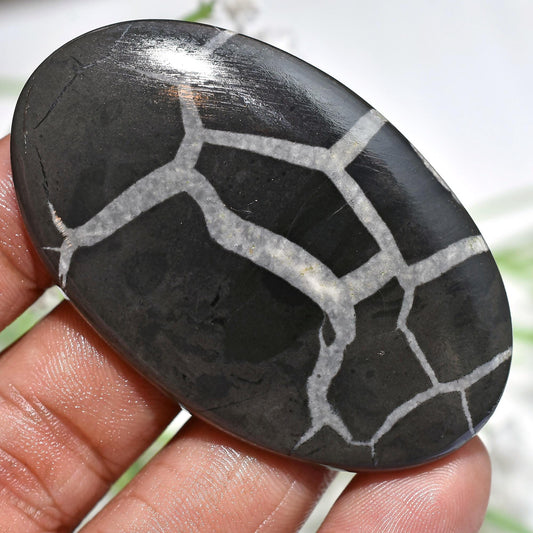 Black Septarian Stones - Oval Septarian Nodules, Dragon Stone Cabochons