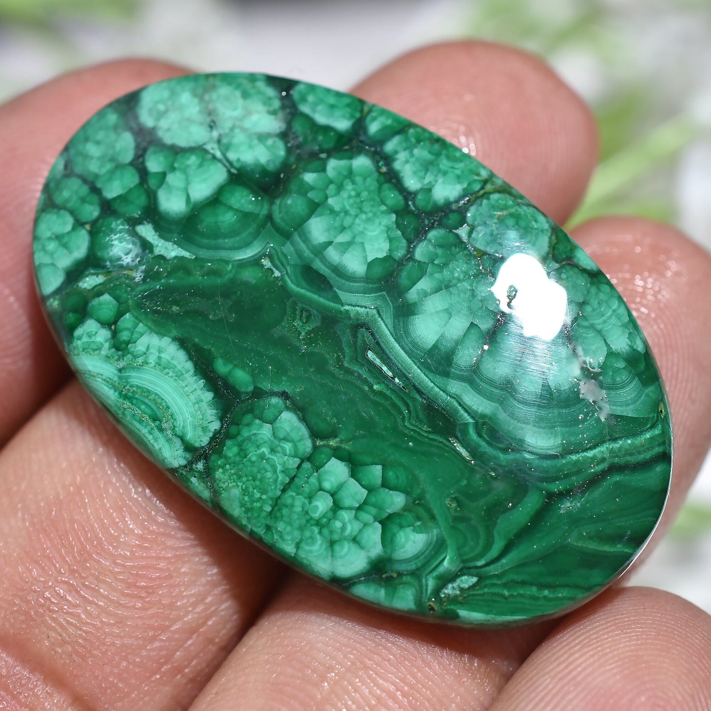 Green Malachite Oval Shape Gemstone - Natural Loose Cabochon, Designer Malachite